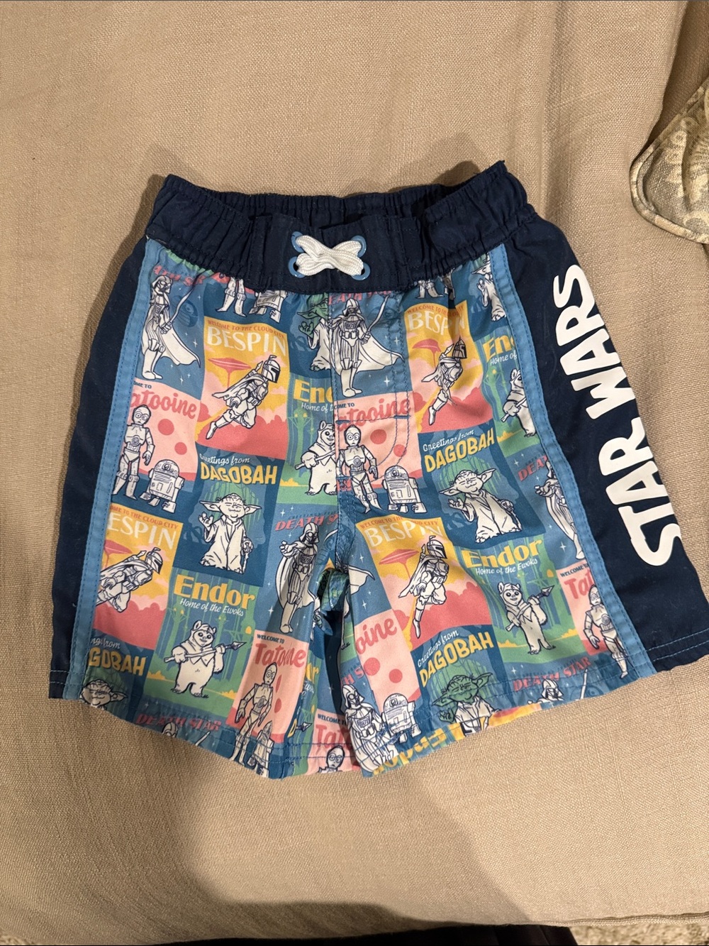 Star Wars Navy and Multicolor Boys' Graphic Swim Shorts
